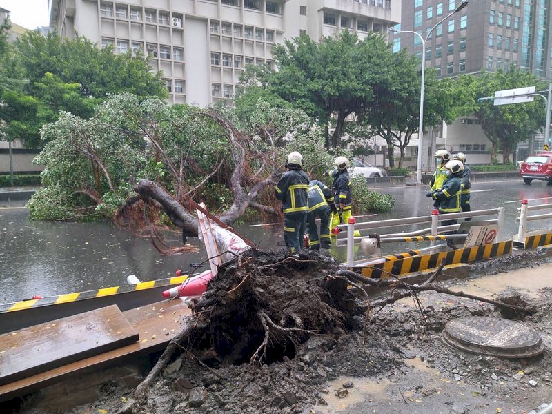Arbeiter räumen im Bezirk Xinyi in Taipei einen entwurzelten Baum von der Straße (Foto: CNA)