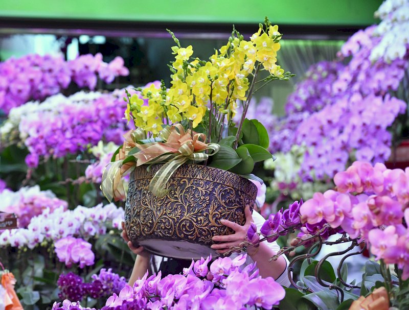 Orchideen zum Neujahrsfest auf dem Blumenmarkt in Taipei (Foto: CNA)