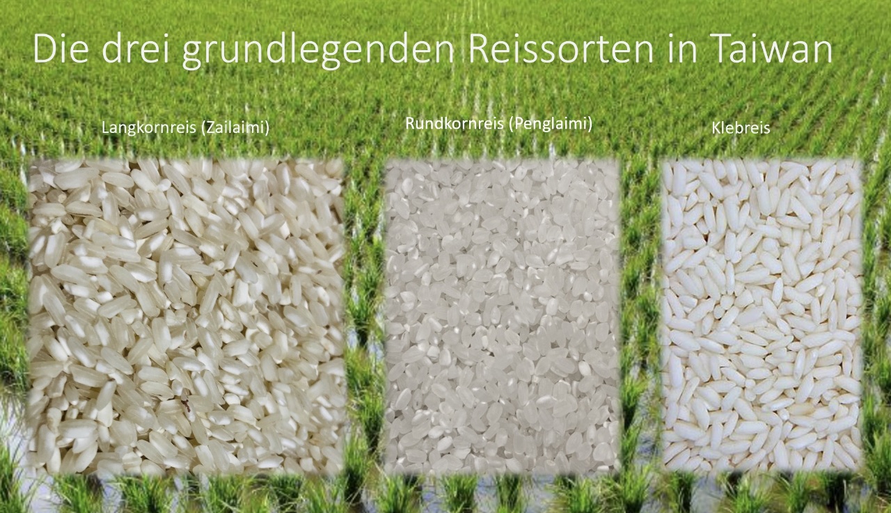 Geschichte des Grundnahrungsmittel Reis
