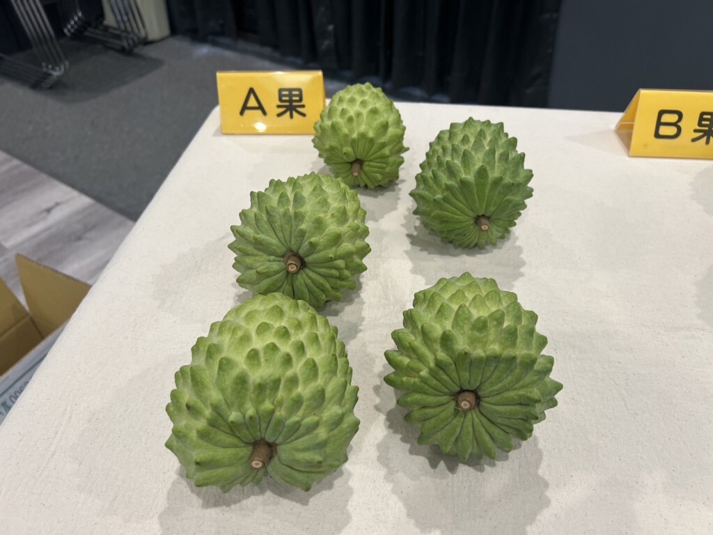 Taiwan fordert China auf, die Wiederaufnahme der Fruchtexporte zu erlauben