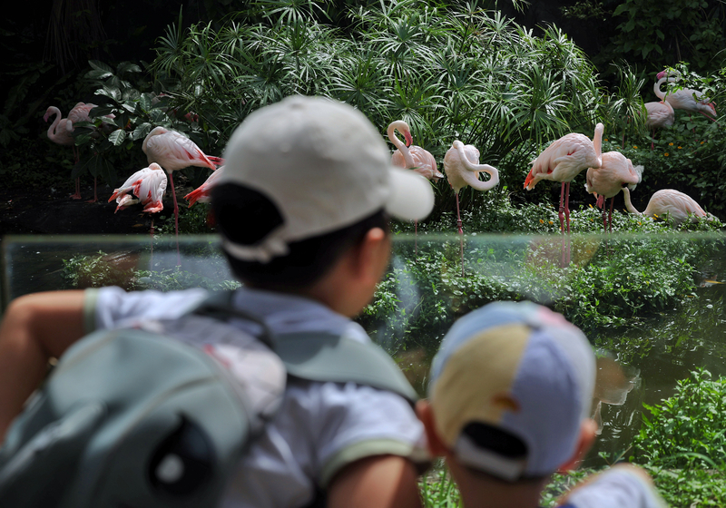 Reise durch Taiwan